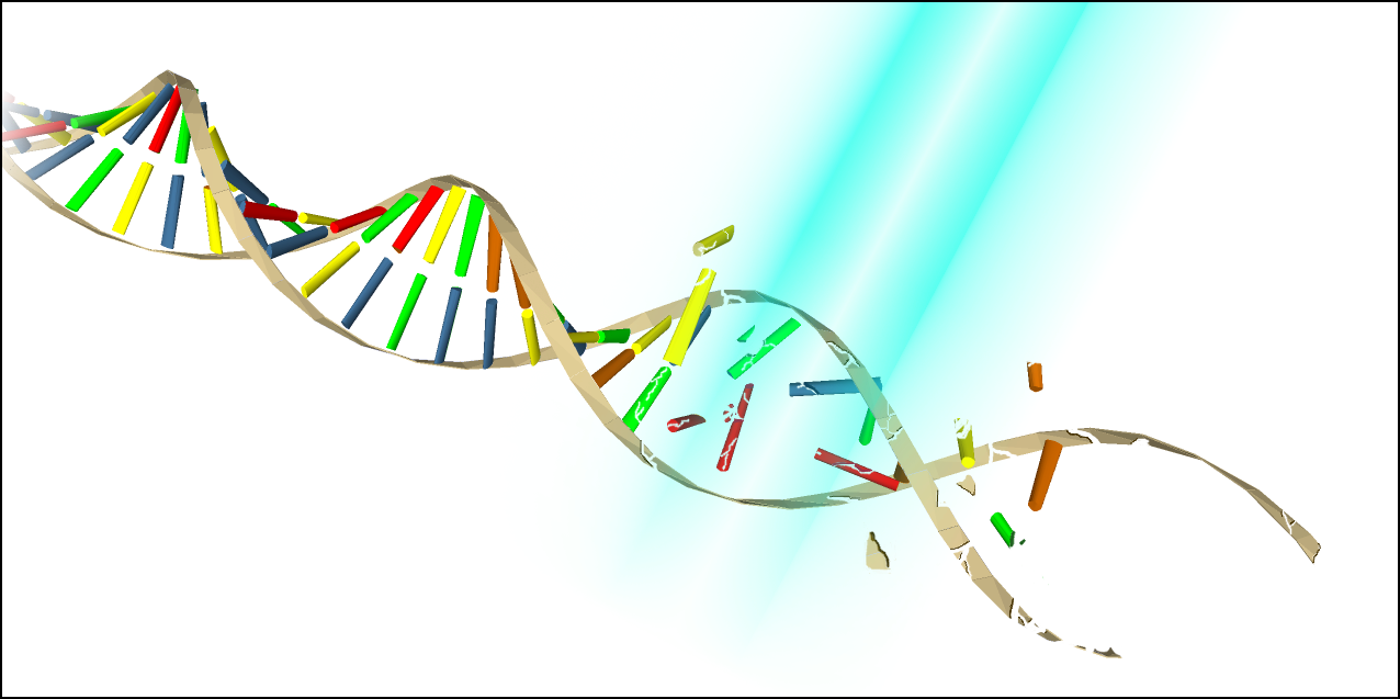 紫外線によるDNA不活性化イメージ